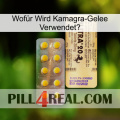 Wofür Wird Kamagra-Gelee Verwendet0 new06